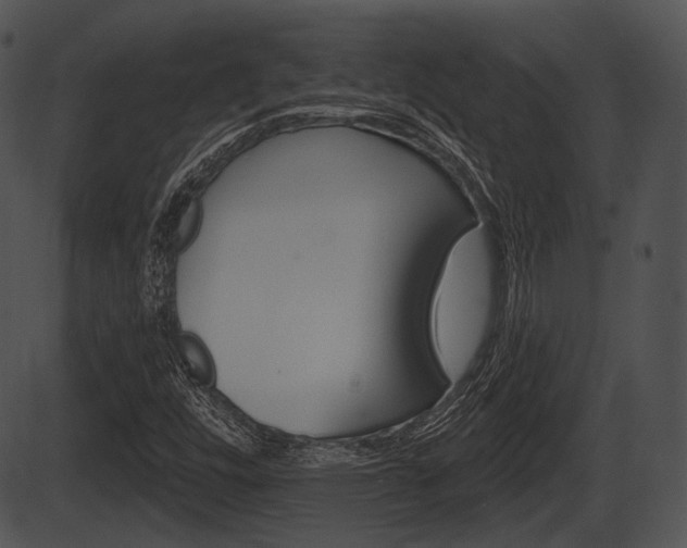 X0000087511448200704270742