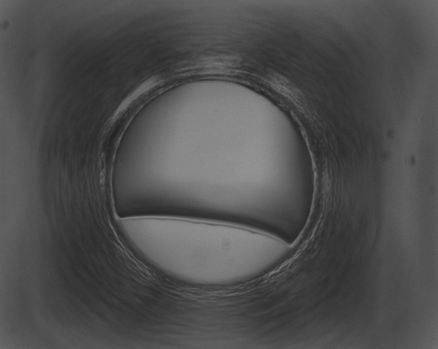 X0000087511450200704270742