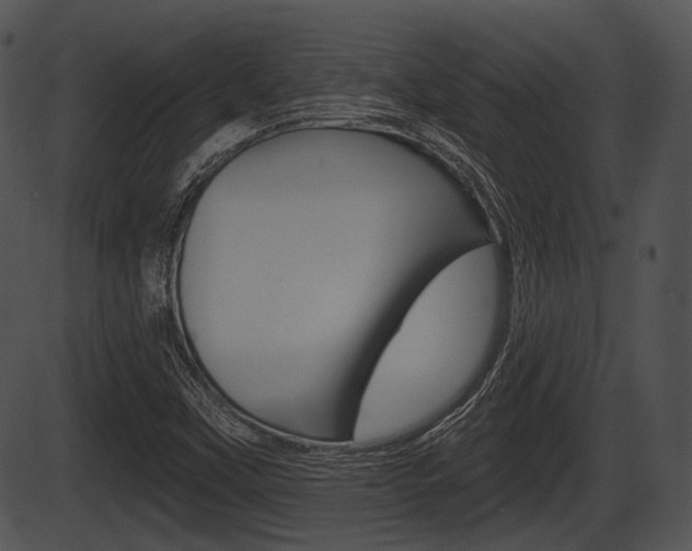 X0000087511451200704270742
