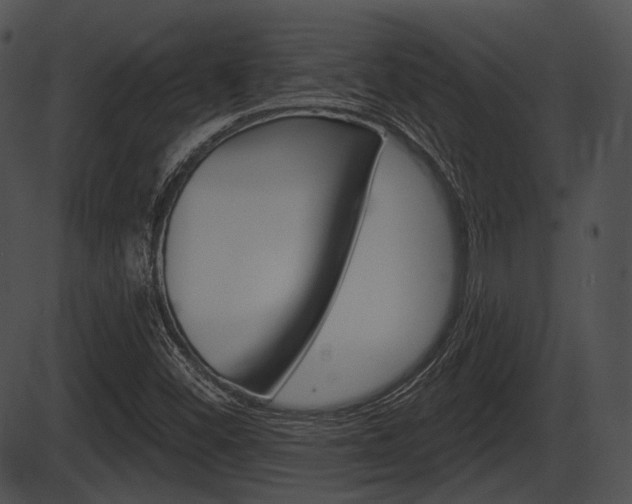 X0000087511452200704270742