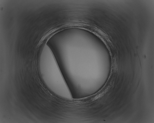 X0000087511453200704270742