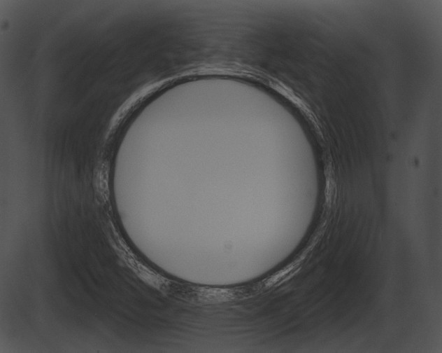X0000087511454200704270742
