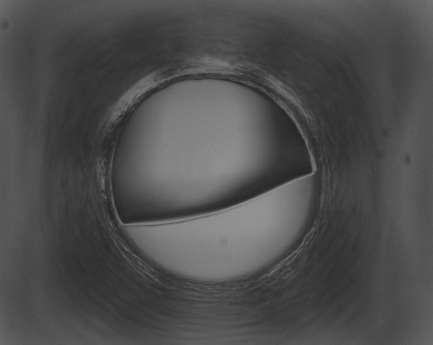 X0000087511455200704270742