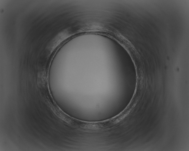 X0000087511457200704270742