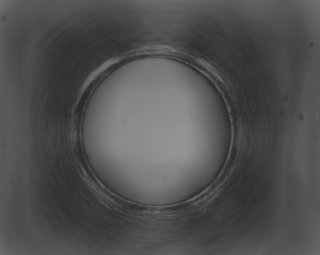 X0000087511458200704270742