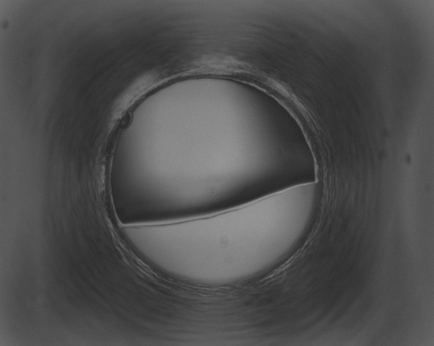 X0000087511459200704270741