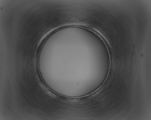 X0000087511460200704270741