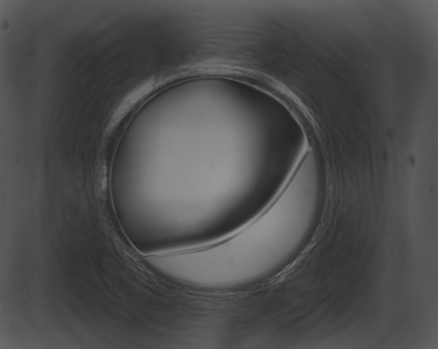 X0000087511461200704270741