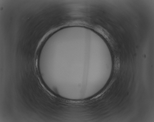 X0000087511462200704270741