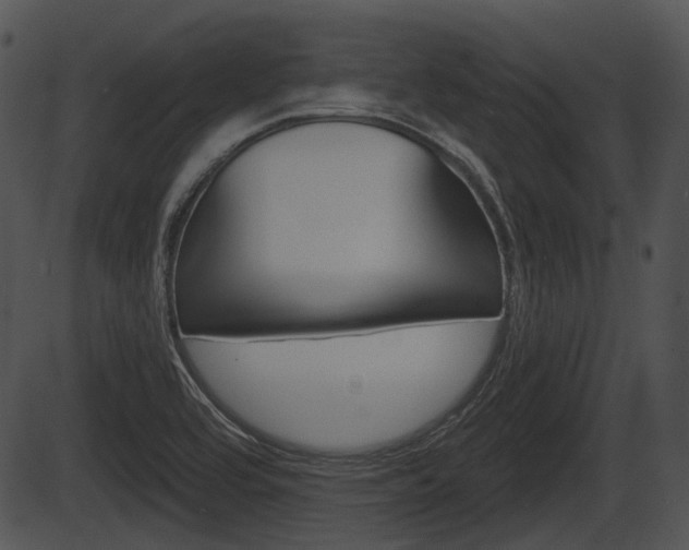 X0000087511464200704270741