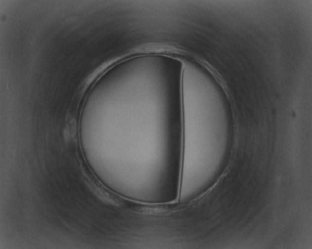 X0000087511465200704270741