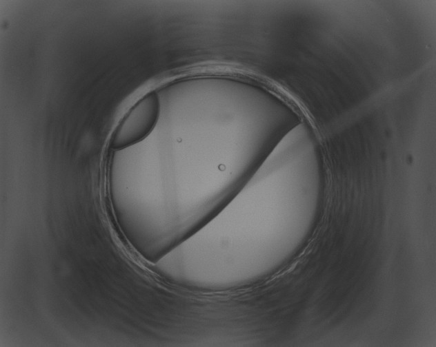 X0000087511467200704270741