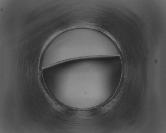 X0000087511469200704270741