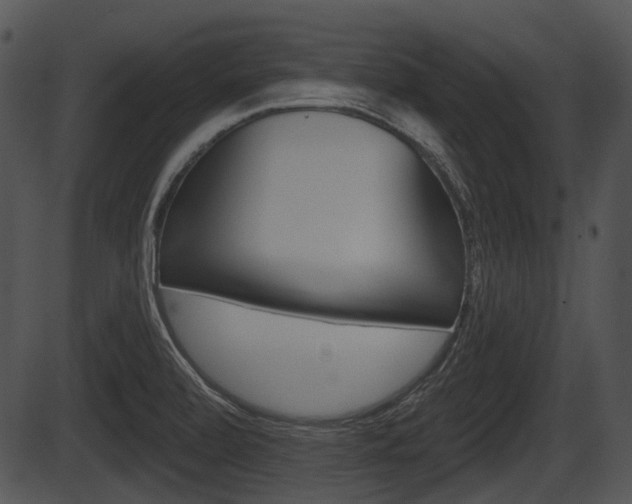 X0000087511472200704270741