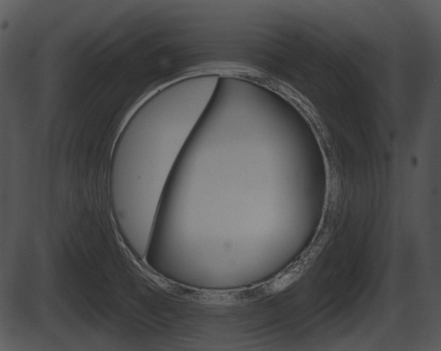 X0000087511473200704270741