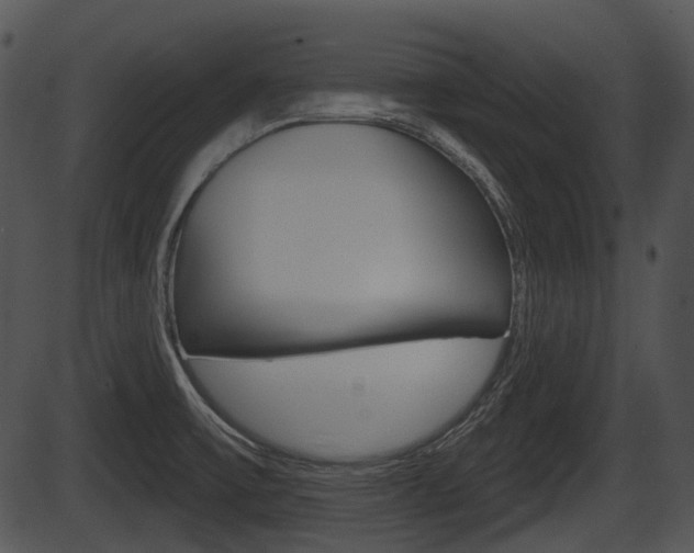 X0000087511475200704270741