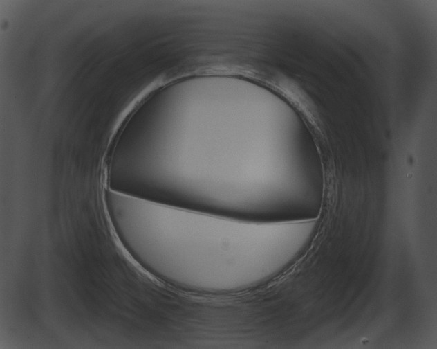 X0000087511476200704270741