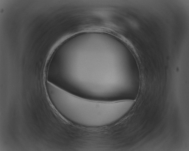 X0000087511480200704270741