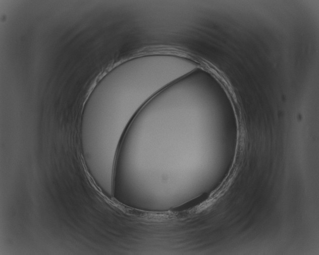 X0000087511481200704270741