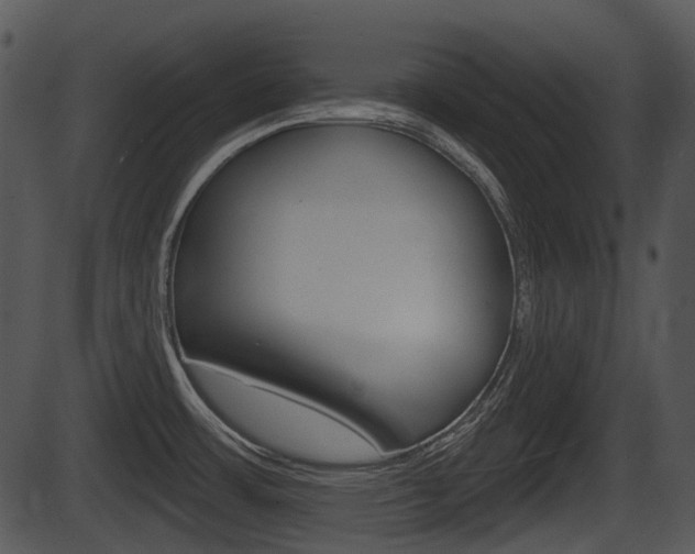 X0000087511483200704270741