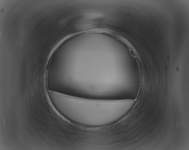 X0000087511484200704270741