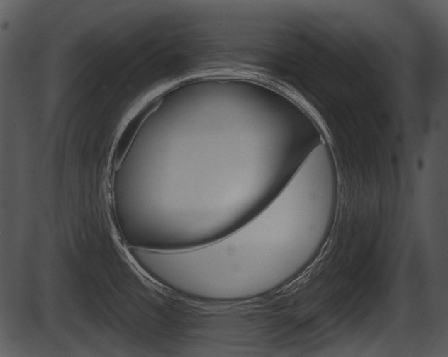 X0000087511485200704270741