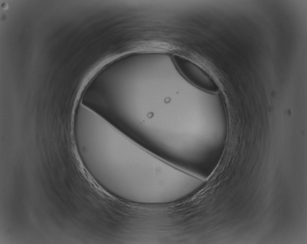 X0000087511488200704270741