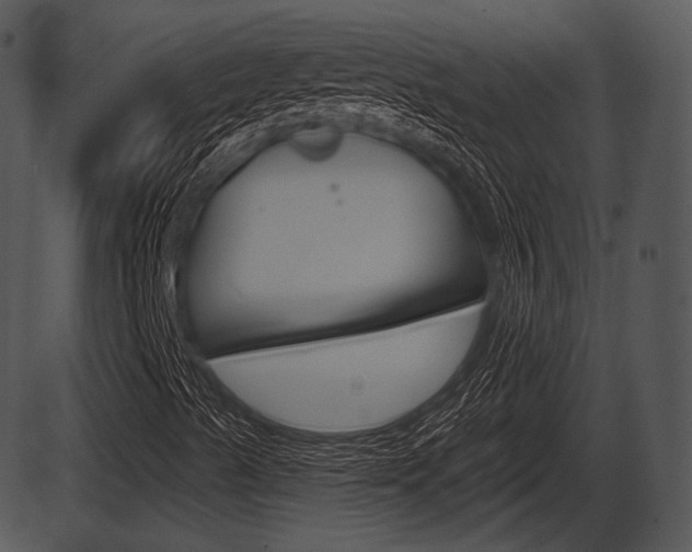 X0000087511489200704270740