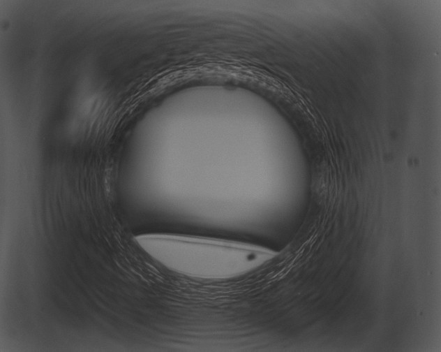 X0000087511490200704270740