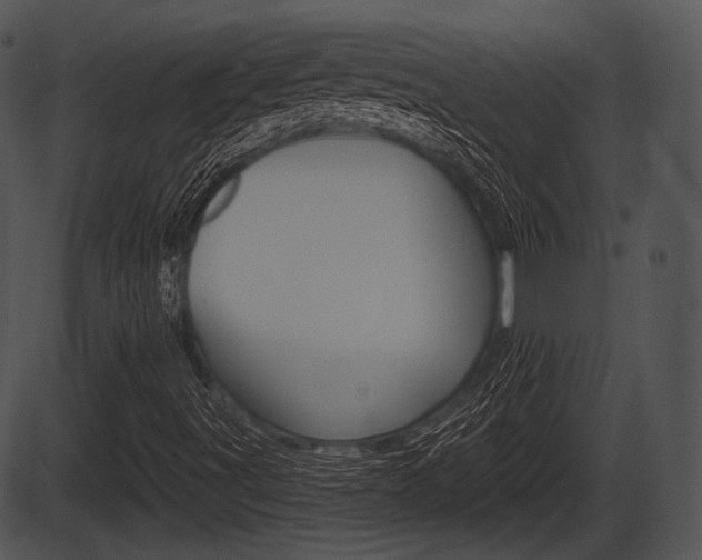 X0000087511491200704270740