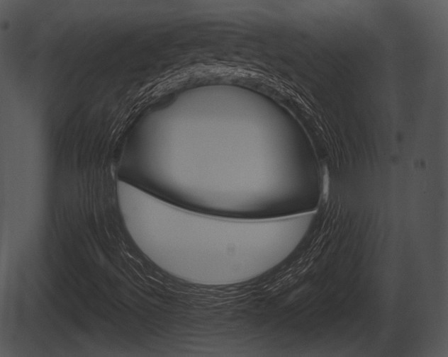 X0000087511492200704270740