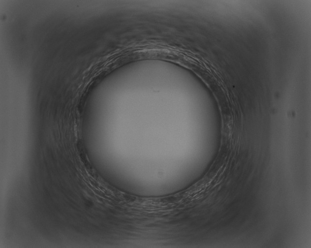 X0000087511493200704270740