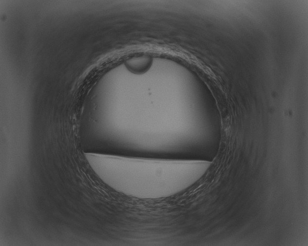 X0000087511495200704270740