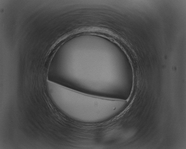 X0000087511497200704270740