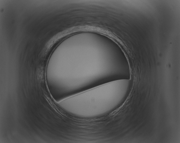 X0000087511499200704270740