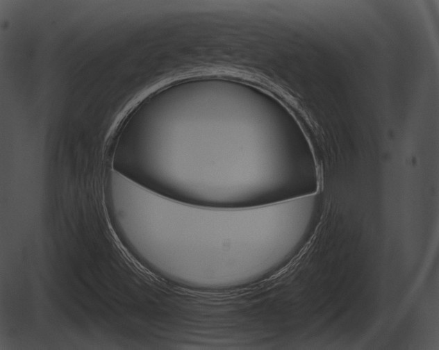 X0000087511500200704270740