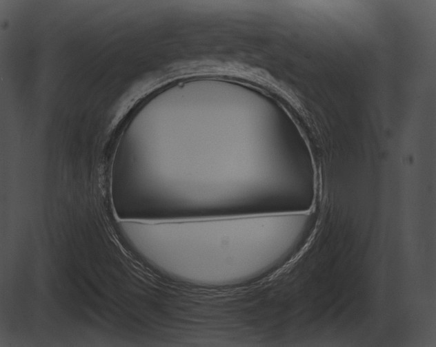 X0000087511501200704270740