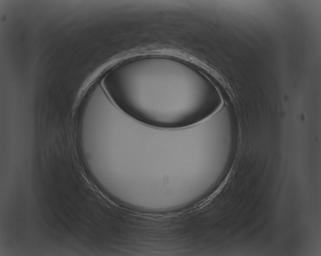 X0000087511502200704270740