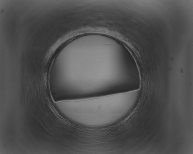 X0000087511503200704270740