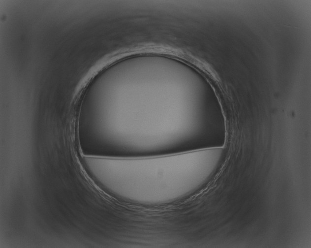 X0000087511504200704270740