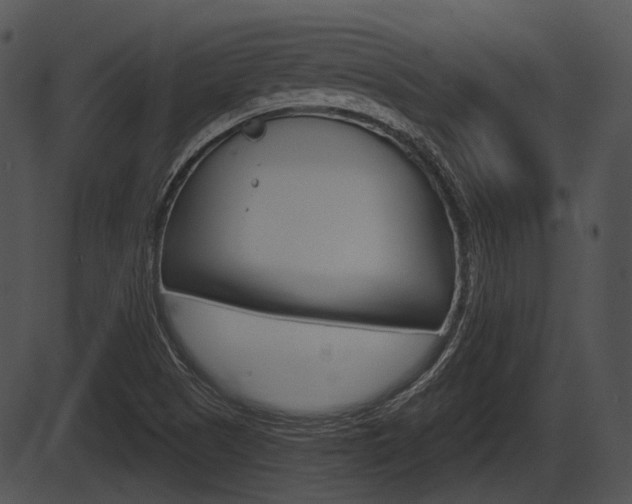 X0000087511505200704270740