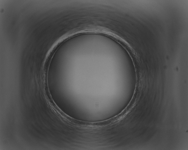 X0000087511506200704270741