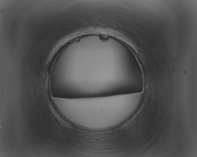 X0000087511507200704270741