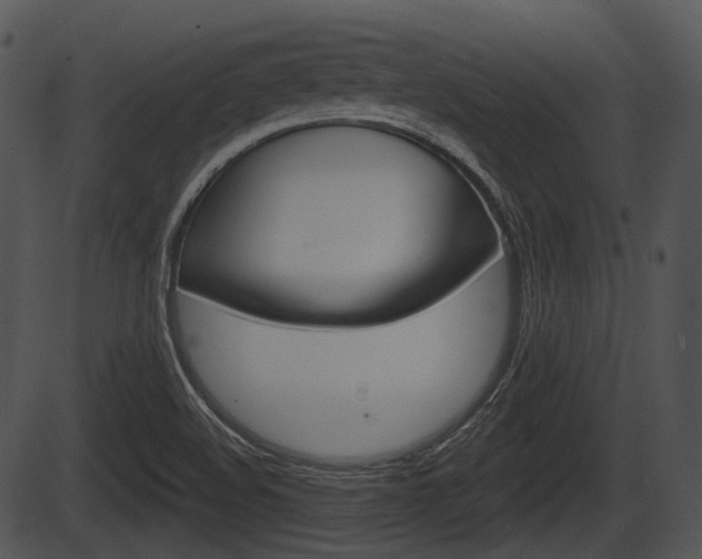 X0000087511508200704270741