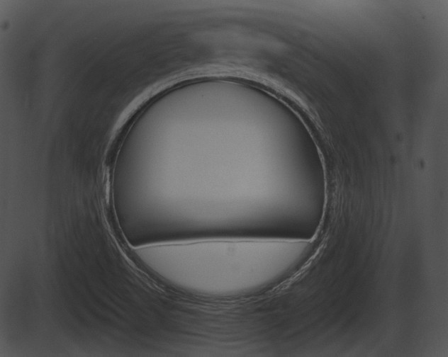 X0000087511509200704270741