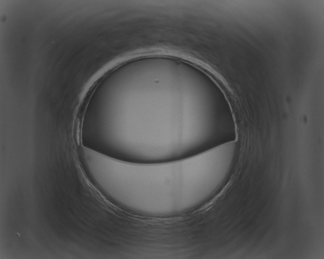X0000087511510200704270741