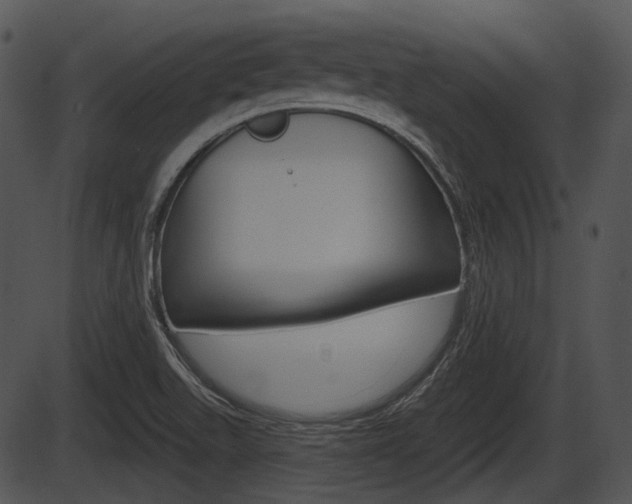 X0000087511511200704270741