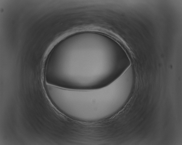 X0000087511512200704270741