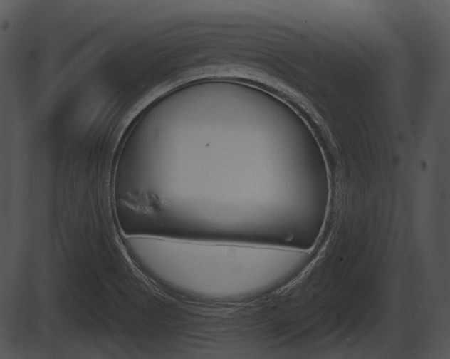 X0000087511513200704270741