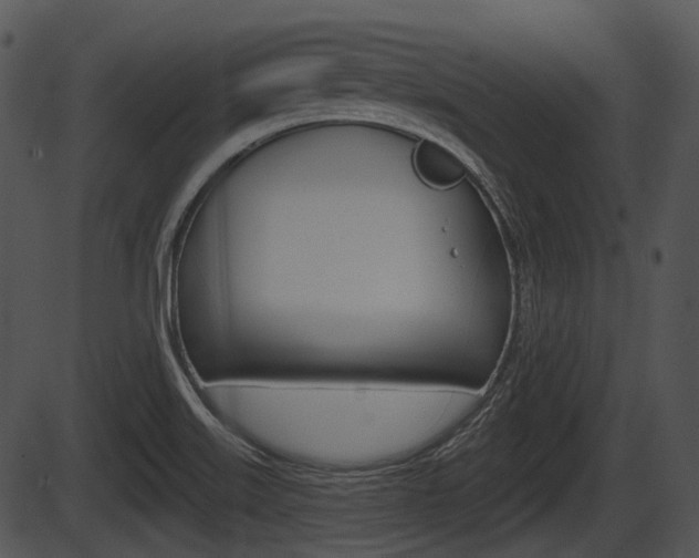 X0000087511515200704270741
